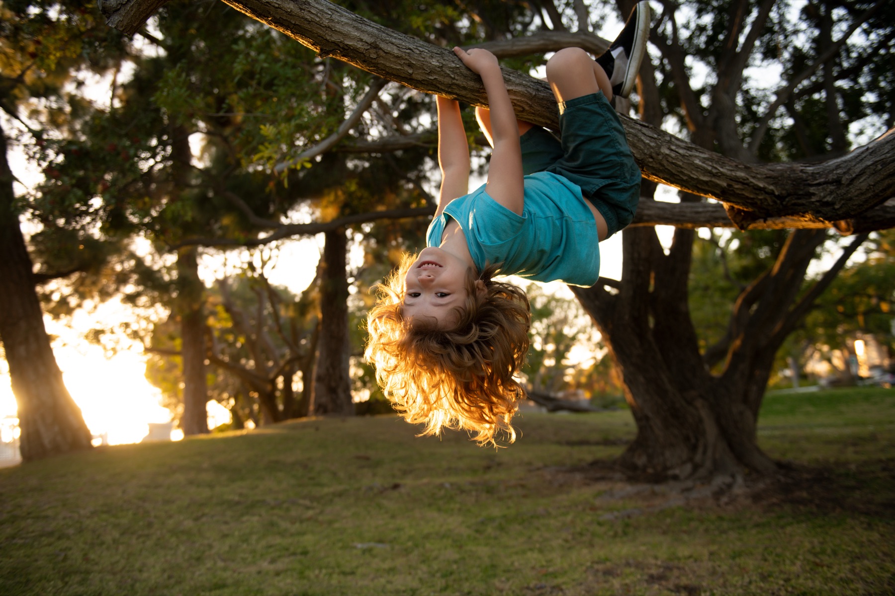 A child hanging upside down from a tree branch in golden afternoon light, building shoulder and core strength through play.
